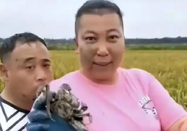 直播带货骗局_网红虚假宣传_网红的黑料王多鱼,