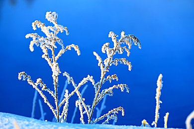 吃瓜51吃的朝阳群众｜朝阳群众瓜田大战：网络舆论风向标-5