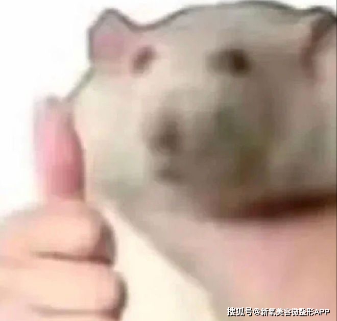 额头窄颧骨高的女明星_韩素希高颧骨审美_韩素希骨相美女